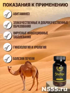 Капсулы Шафия Верблюжье молоко и урина фото 2