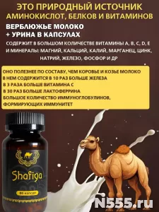 Капсулы Шафия Верблюжье молоко и урина фото 5
