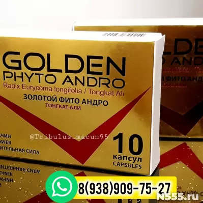 Голден Фито Андро 10 капсул Golden Phyto Andro