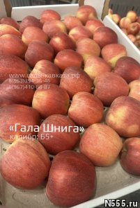 Оптовая продажа яблок разных сортов и калибров фото 2