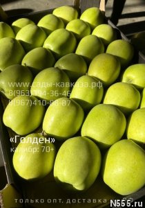 Оптовая продажа яблок разных сортов и калибров фото 3