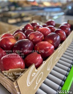 Оптовая продажа яблок разных сортов и калибров фото